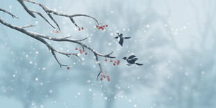 水墨雪景冬天插画