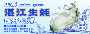 湛江生蚝