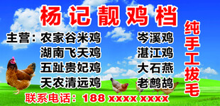 农家土鸡