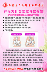 骨盆修复