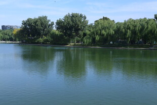 湖水 