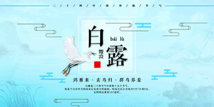 白露节气宣传海报展板