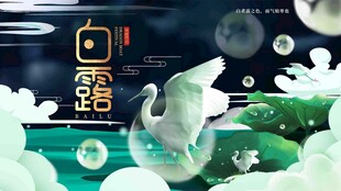 白露节气宣传海报展板