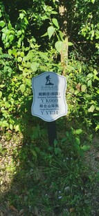 鲲鹏径 四段 YK060