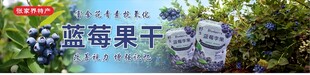 蓝莓果干