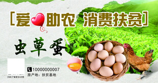 虫草蛋