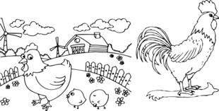 山林走地鸡 简笔画