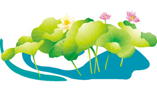 免扣荷花素材  