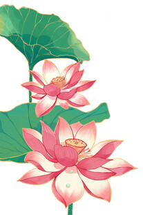 免扣荷花素材 