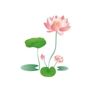免扣荷花素材 