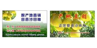 沙田柚名片