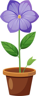 富贵花花卉绿植盆栽免抠png图