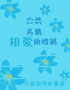 笔记本封面       