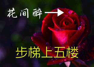 路线指引