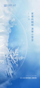 小雪海报