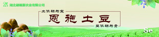 土豆海报