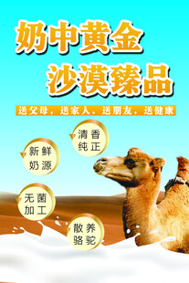 驼奶海报