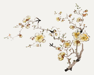 传统水墨梅花兰花矢量 