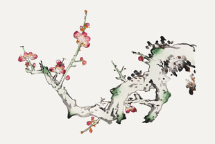 传统水墨梅花兰花矢量 
