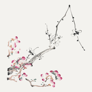 传统水墨梅花兰花矢量 