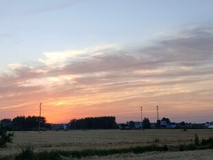 夕阳田野