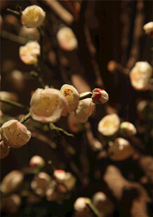 居家花瓶花束