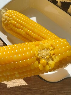 黄糯玉米
