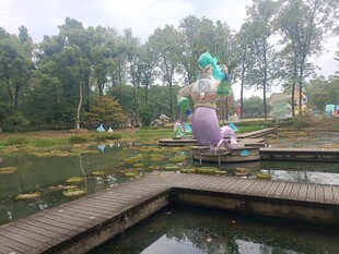 睡盆景