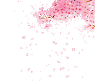 花瓣