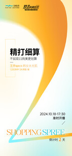 双十一活动
