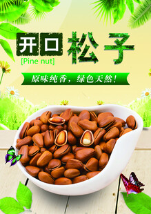 松子海报