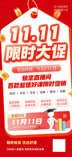 双十一限时大促