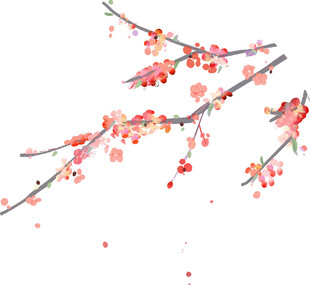 红梅