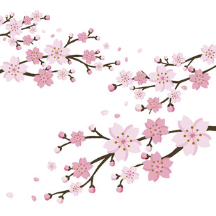 红梅