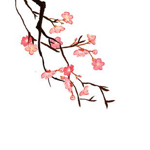 红梅