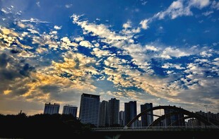 日出 清晨 