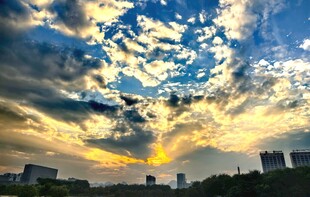 日出 清晨  