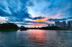 日出 清晨 