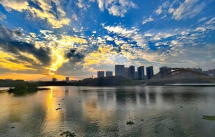 日出 清晨 