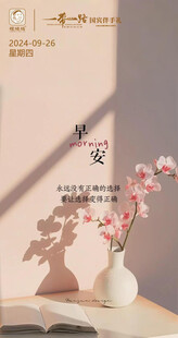 插花艺术早签