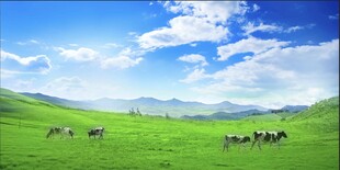 蓝天白云草地
