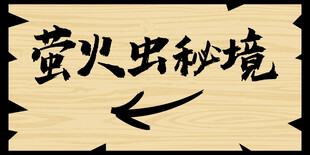 萤火虫秘境