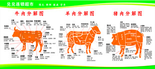 猪牛羊分解图
