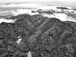 大巴山