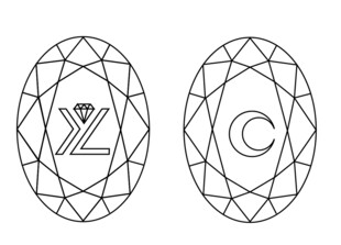 珠宝 LOGO