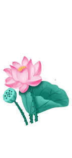荷花素材