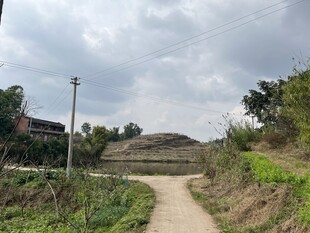 外婆的菜园 