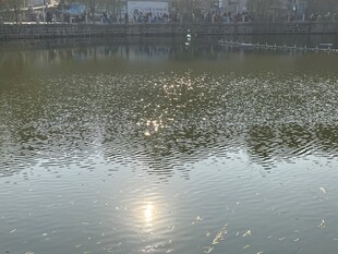 富顺西湖 
