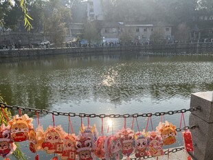 富顺西湖  