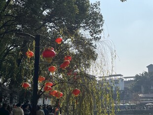 富顺西湖  